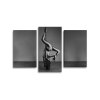 Sablio Obraz - 3-dílný Pole dancer - 120x80 cm (Varianta Sablio Obraz - 3-dílný Pole dancer - 120x80 cm)
