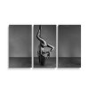 Sablio Obraz - 3-dílný Pole dancer - 120x80 cm (Varianta Sablio Obraz - 3-dílný Pole dancer - 120x80 cm)