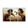 Sablio Obraz - 3-dílný Vzpínající se koně - 120x80 cm (Varianta Sablio Obraz - 3-dílný Vzpínající se koně - 120x80 cm)