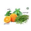 AromasadadifuzerJasnamysl slozeni