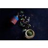terranova 20advance 20synergy12580 multivitamin complex