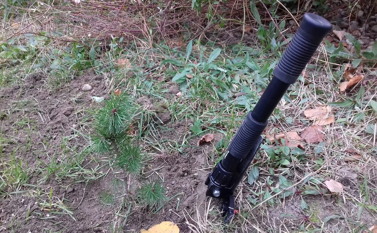 Kutilovia pomáhali sadiť strom