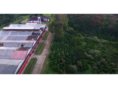 Zrnková káva SLOVENSKÁ El Colibrí 250g-2