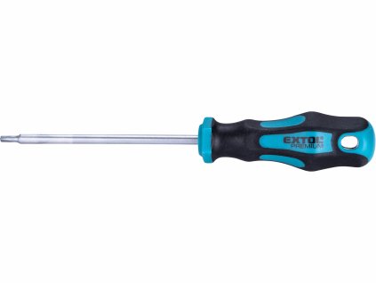 torx skrutkovac magneticky t15x100mm crv