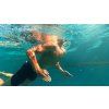 videoframe 15531