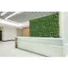 umela zelena stena g21 listo ferns 50x50 cm 10