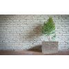 Kvetináč G21 Natur Box 60 x 45 x 25 (3)