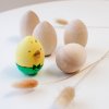 Wooden creative set of 5 eggs