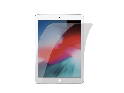 17102 00220IPAD20FLEXIGLASS