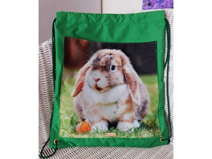 322867167 892272755120853 3099013893302853398 n