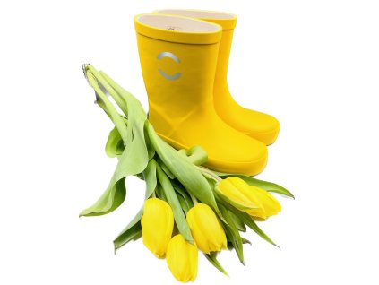 Gumaky do dazda MIKK LINE SUNFLOWER