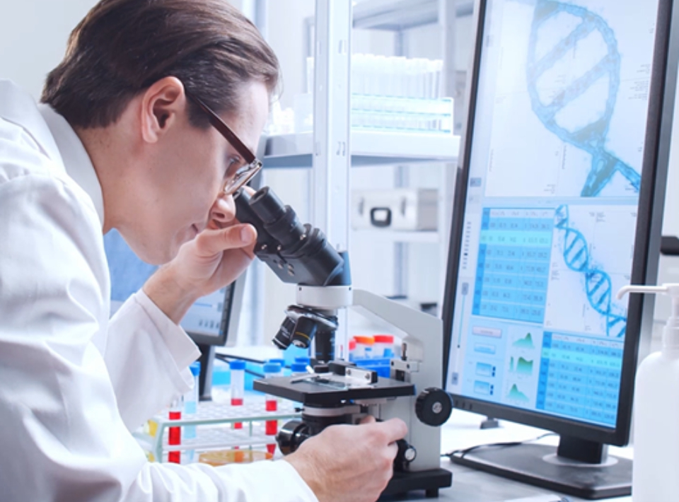 Proč právě rybí kolagen? A proč z Japonska?