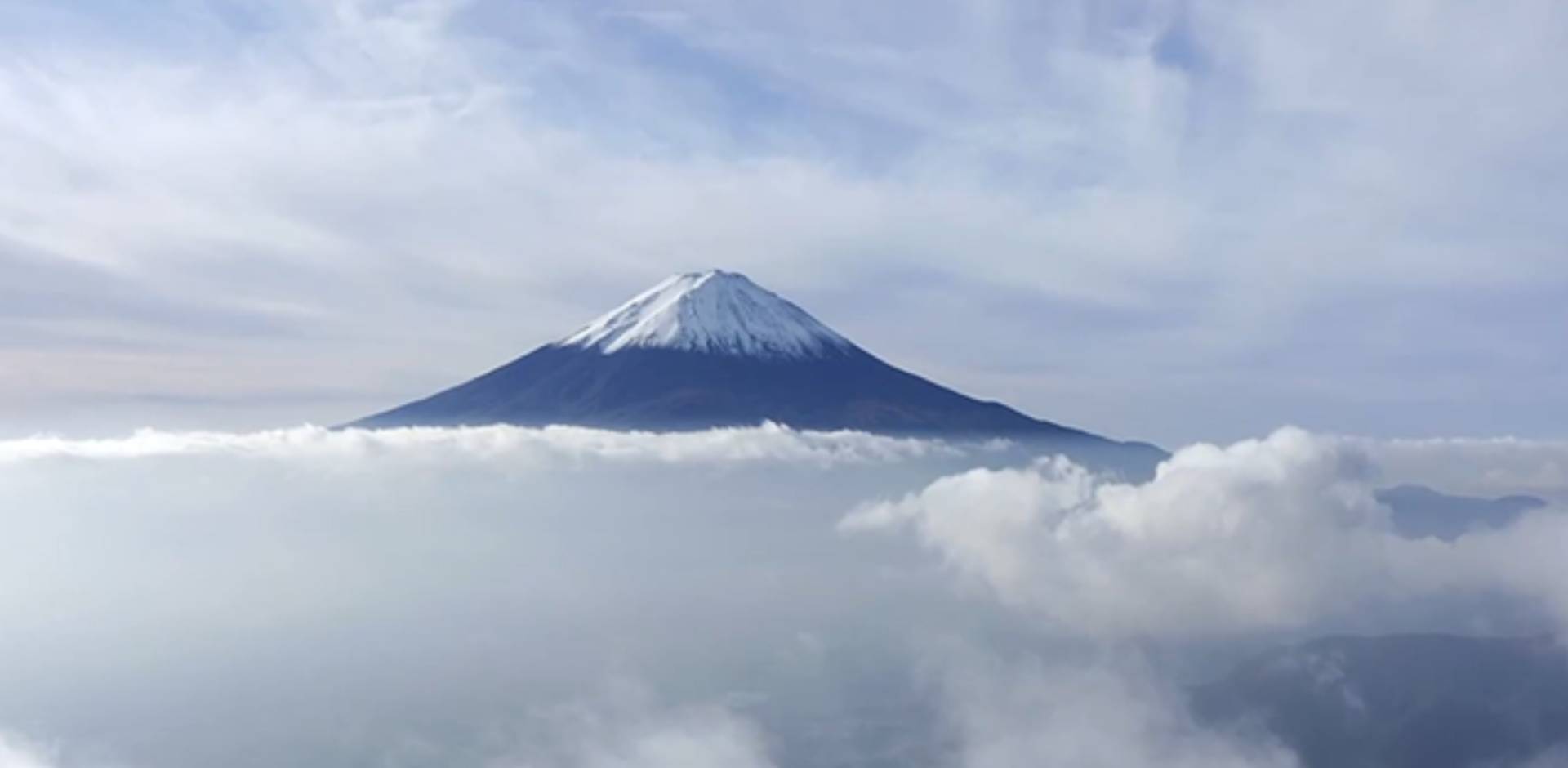 Ultimate Collagen Tri-Peptide