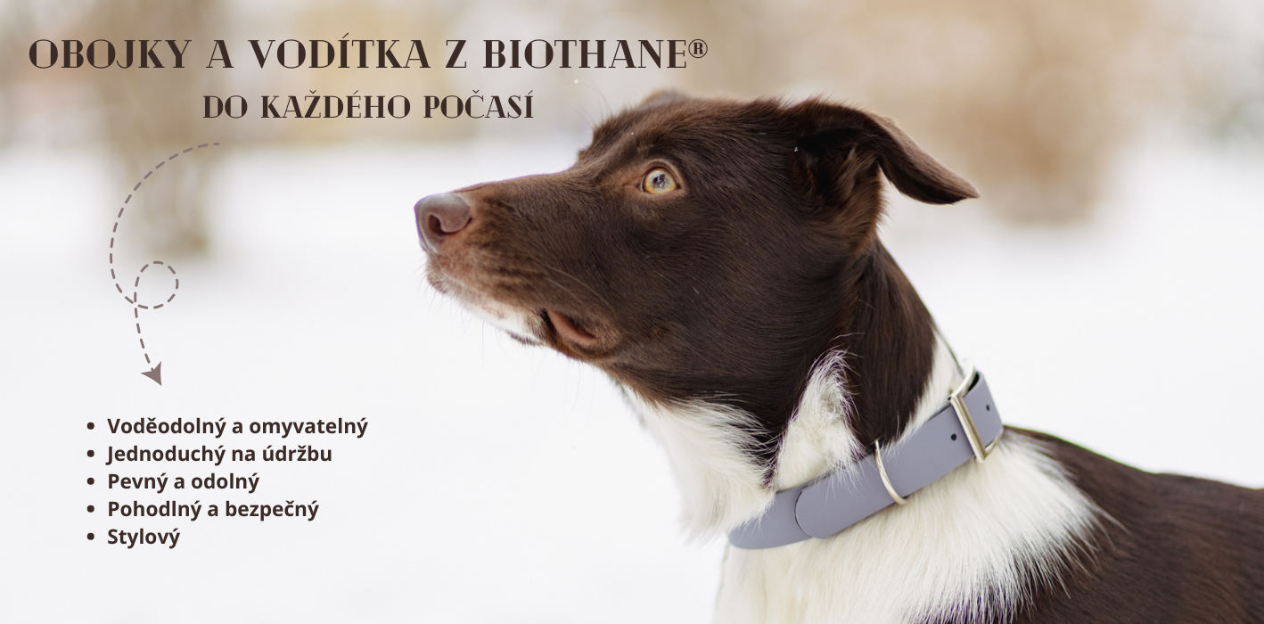 Biothanový šedý obojek