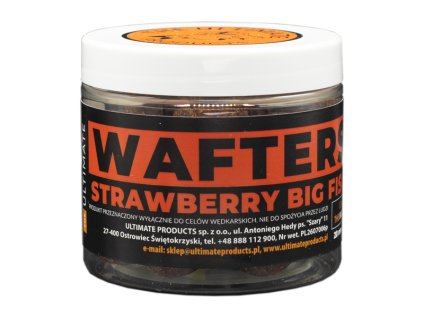 WAFTERS - STRAWBERRY/BIG FISH