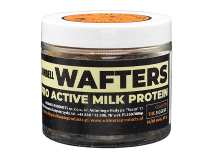 dumbell wafter PRO ACTIVE MILK