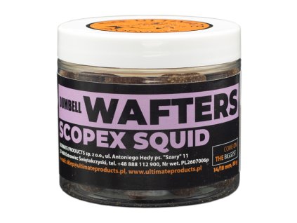 dumbell wafter SCOPEX SQUID