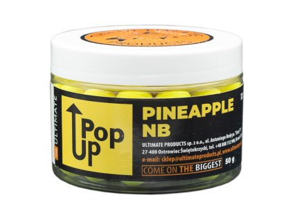 pop up PINEAPPLE NB
