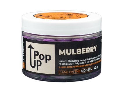 POP UP - MULBERRY