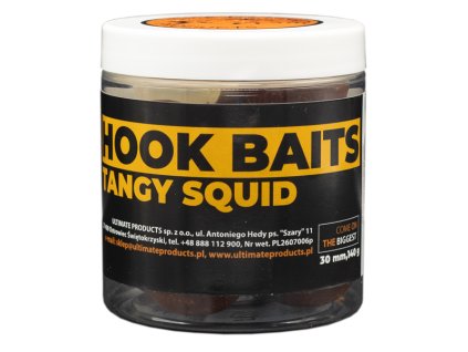 hook baits TANGY SQUID