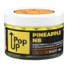 pop up PINEAPPLE NB