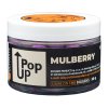 POP UP - MULBERRY