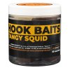 hook baits TANGY SQUID
