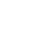 TikTok Icon