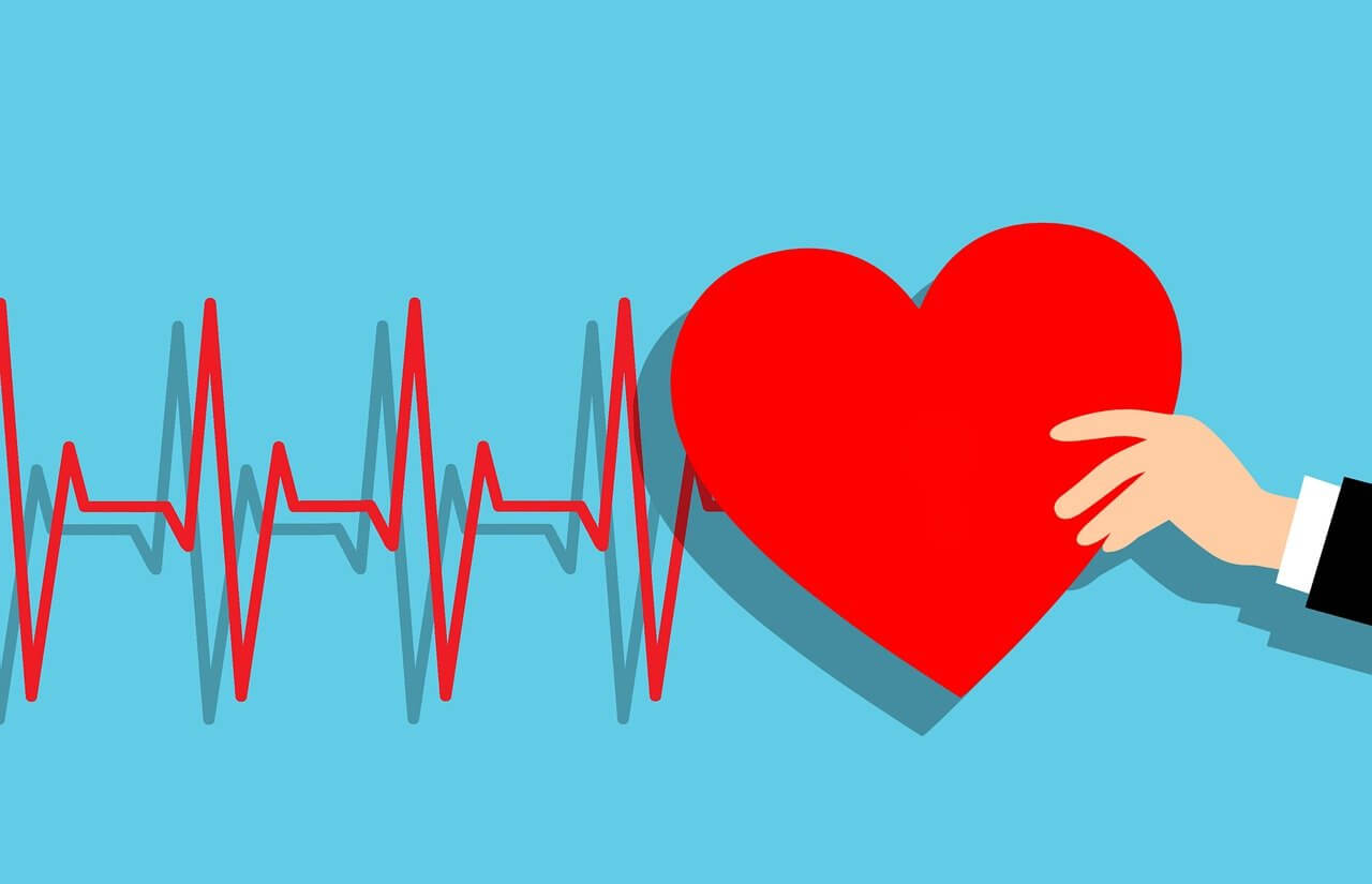 Co je variabilita srdečního tepu (VST): Odborně i ze života