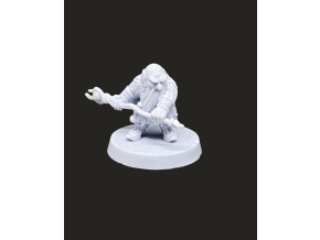 Trpaslík Druid