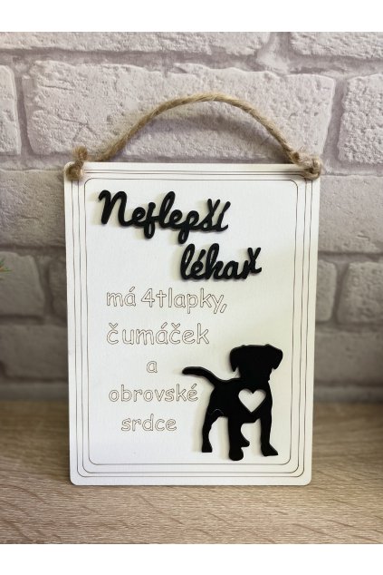 Dřevěná cedule 21x16cm - Nejlepší lékař Pes