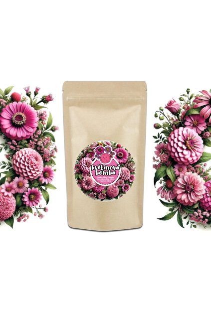 Snímek obrazovky 2025 06 04 145437