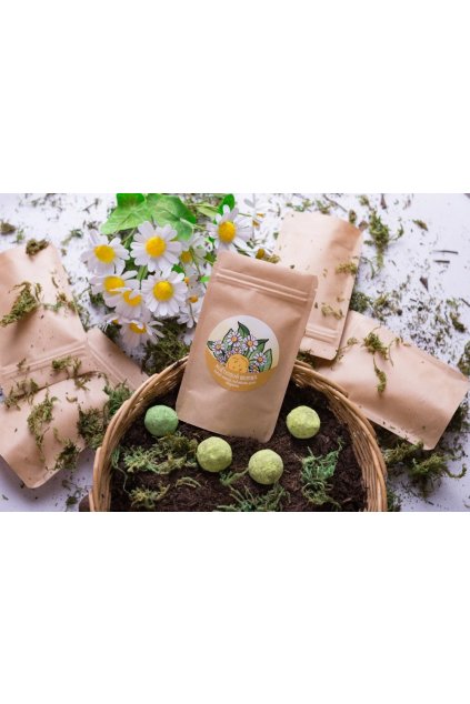 Snímek obrazovky 2025 06 04 145904