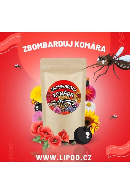 Snímek obrazovky 2025 06 04 150119