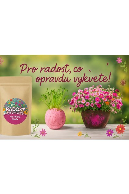Snímek obrazovky 2025 06 04 150531