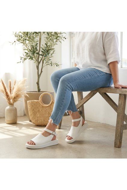 threadwise 20260428 114559