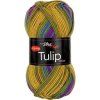 Tulip Color 5211