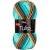 Tulip Color 5215