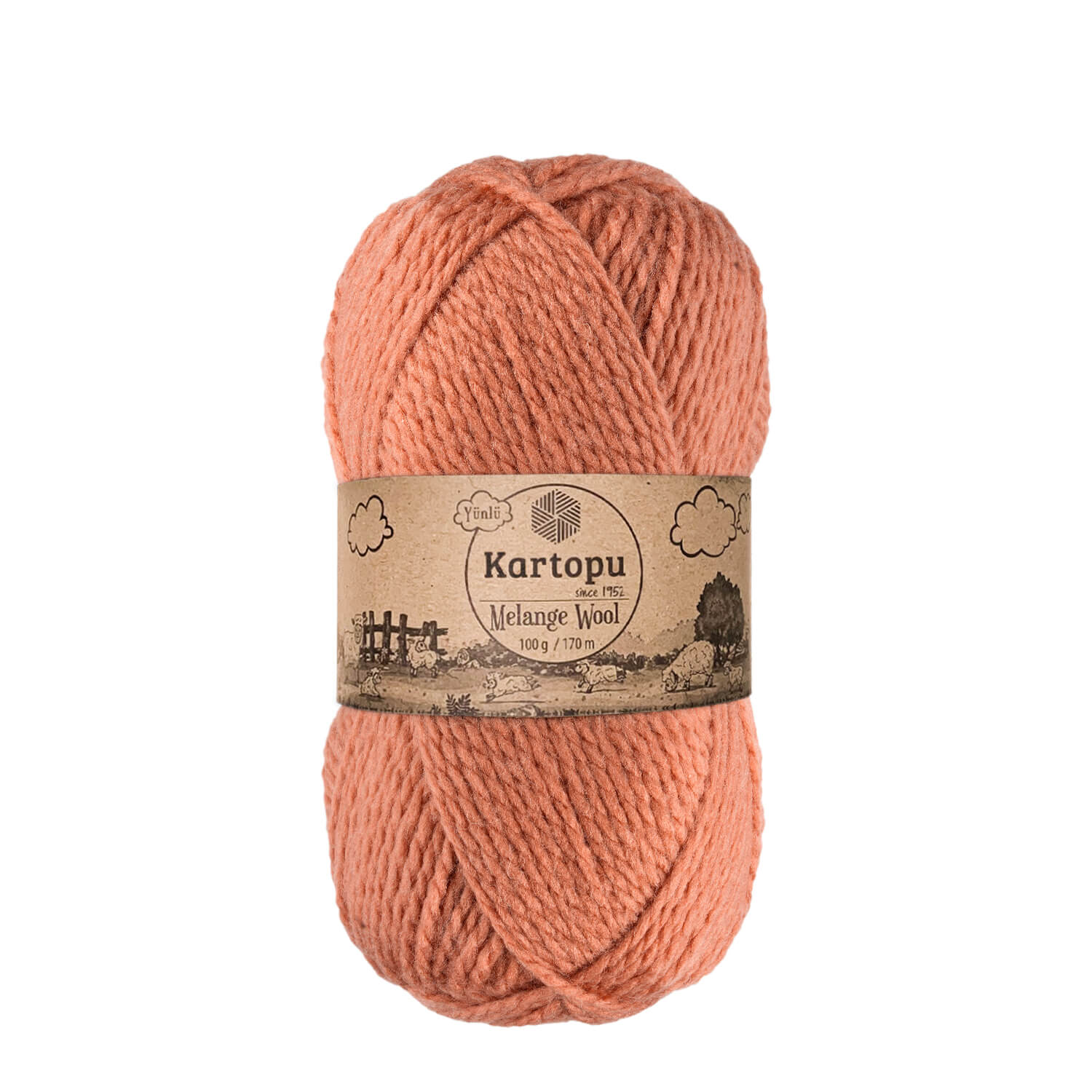 KARTOPU Melange Wool - 170 m / 100 g 2. barva: lososová, 4. číslo barvy: 784