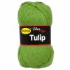 Tulip 4156