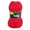 Tulip 4019