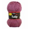 Tulip 4078