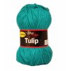 Tulip 4139