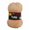 Tulip 4205