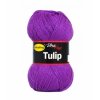 Tulip 4250