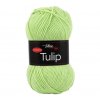 Tulip 4159