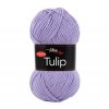 Tulip 4072