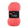 Tulip 4013