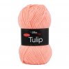 Tulip 4011