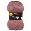 Tulip 4077